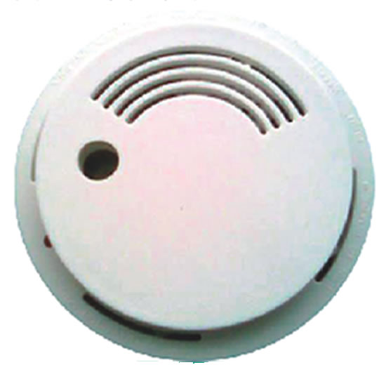 315M�����̸�̽�ⱨ����